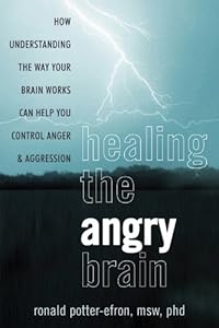 Healing the Angry Brain: How Understanding the Way Your Brain Works Can Help You Control Anger and Aggression by Ronald Potter-Efron MSW  PhD