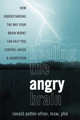 Healing the Angry Brain: How Understanding the Way Your Brain Works Can Help You Control Anger and Aggression by Ronald Potter-Efron MSW  PhD