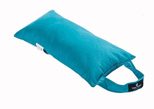 Algopix Similar Product 19 - Hugger Mugger Sukasana Pillow, Aqua