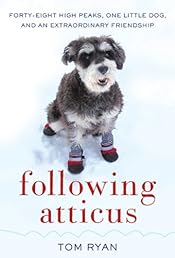 Following Atticus (P.S.)