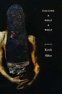 Calling a Wolf a Wolf