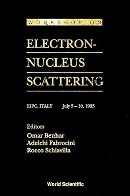 Electron-Nucleus Scattering - Proceedings of the Workshop