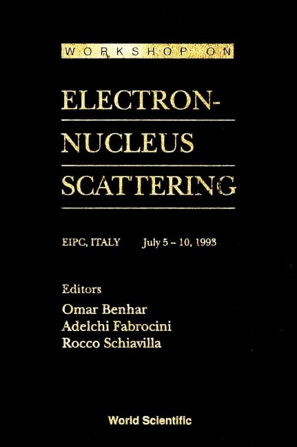Electron-Nucleus Scattering - Proceedings of the Workshop by Adelchi Fabrocini