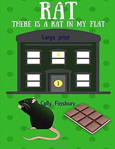 There is a rat in my flat: Large print by Cally Finsbury