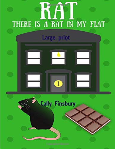 There is a rat in my flat: Large print by Cally Finsbury