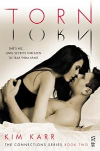 Torn (The Connections Series, Book 2)