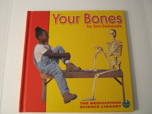 Your Bones (Bridgestone Science Library: Your Body) by Terri