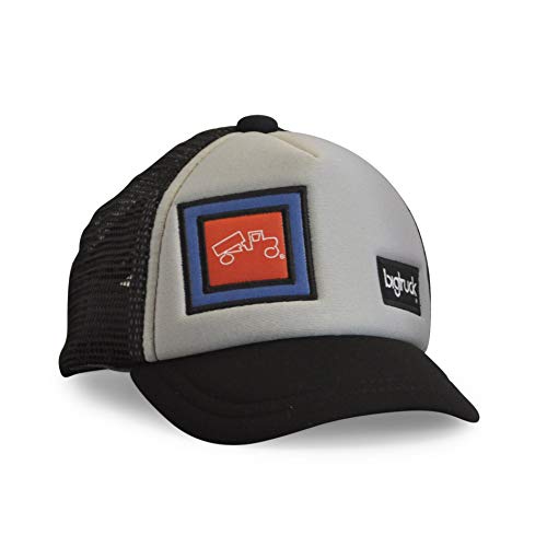 Algopix Similar Product 5 - bigtruck OG Baby Grey / Black, 1 Each