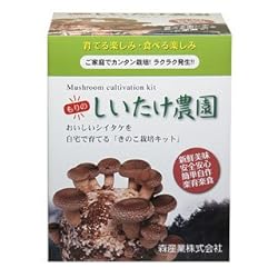 シイタケ栽培キット 【もりのしいたけ農園】