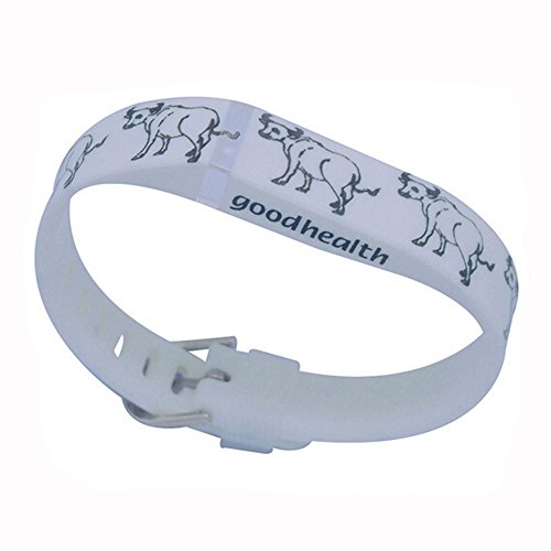 Natuworld New Arrival for Replacement wristband Band with Secure Anti-lost Watchband-style Closure for Fitbit FLEX Only/ No tracker/ Wireless Activity Bracelet Sport Wristband / Sport Arm Band -with a secure closure around the wrist,Secure and Convenient