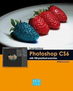 Learning Photoshop Cs6 with 100 Practical Excercises