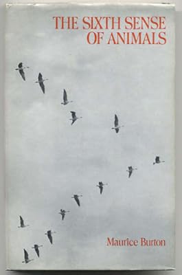 The Sixth Sense of Animals