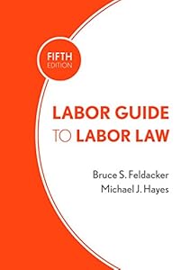 Essential Guide to Federal Employment Laws by Bruce S. Feldacker
