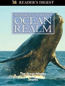 The Great whales