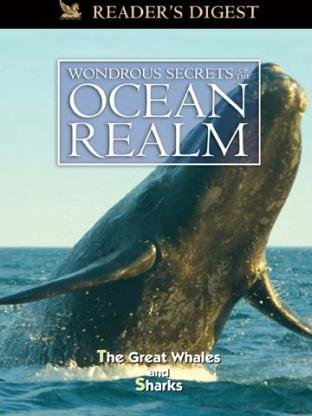 The Great whales by Linda Hall