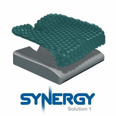 

Synergy Solution 1 Cushion - 17" X 19"