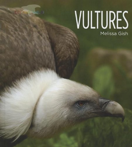 Vultures by Melissa Gish