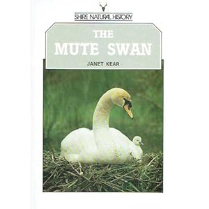 The Mute Swan by Janet Kear