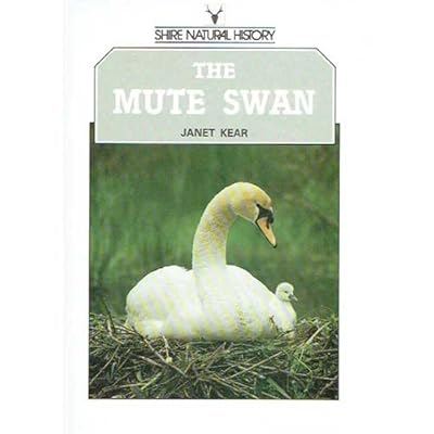 The Mute Swan