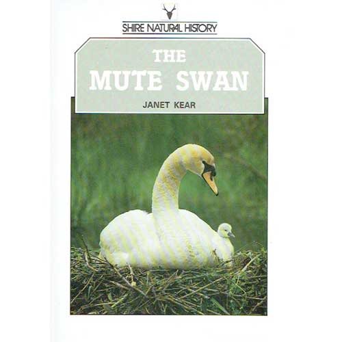 The Mute Swan by Janet Kear