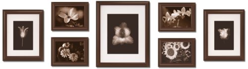 Gallery Solutions 7-Piece Create-A-Gallery Studio Frame Set, Walnut