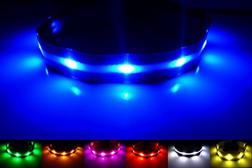 GoDoggie-GLOW - Improved Dog Visibility & Safety - USB Rechargeable LED Dog Safety Collar - 7 Colors & 5 Sizes - Super-Bright LED's Glow & Flash - Connects to Devices to Recharge - Great Fun, Peace of Mind & Safe - Blue Extra Small