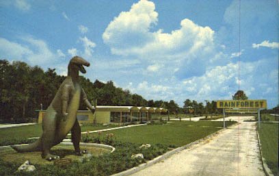 Algopix Similar Product 1 - Wildwood, Florida Postcard