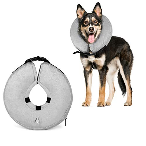 Algopix Similar Product 5 - 