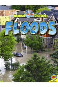 Floods by Jennifer Howse