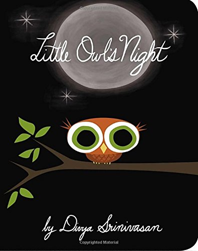 Little Owl's Night by Divya Srinivasan