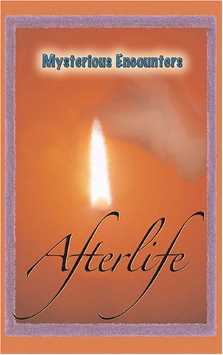 The Afterlife (Mysterious Encounters) by Rachel Lynette