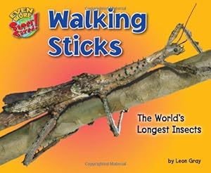 Walking Sticks: The Worlds Longest Insects