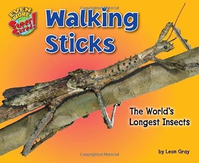 Walking Sticks: The Worlds Longest Insects