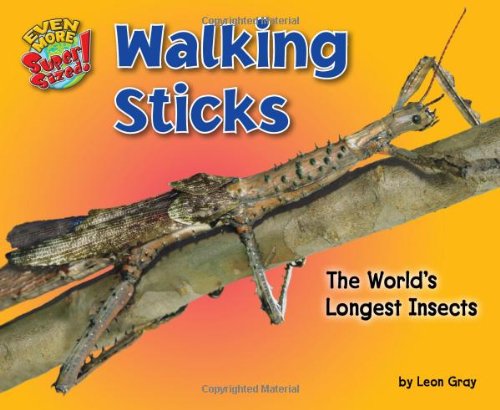 Walking Sticks: The Worlds Longest Insects by Leon Gray