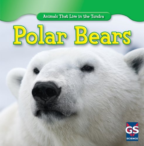Polar Bears by Maeve T. Sisk