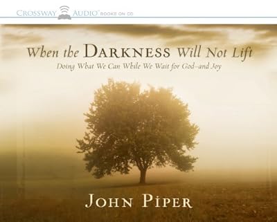 When the Darkness Will Not Lift: Doing What We Can While We Wait for God--and Joy
