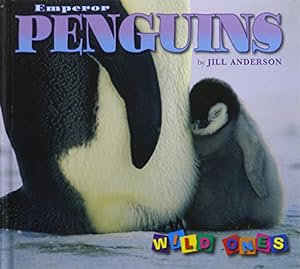 Emperor Penguins