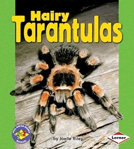 Hairy Tarantulas (Pull Ahead Books)