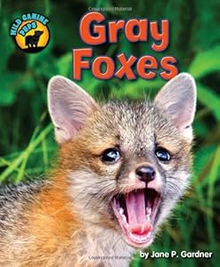 Gray Foxes