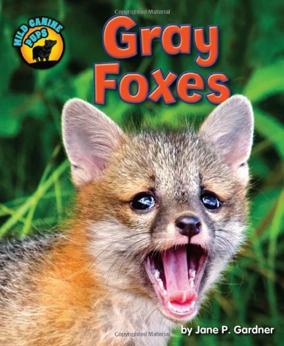 Gray Foxes by Jane P. Gardner