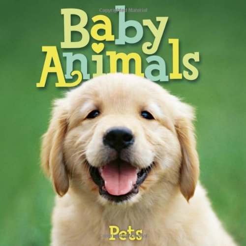 Baby Animals Pets by Editors of Kingfisher