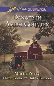 Danger in Amish Country: Fall from Grace\Dangerous Homecoming\Return to Willow Trace