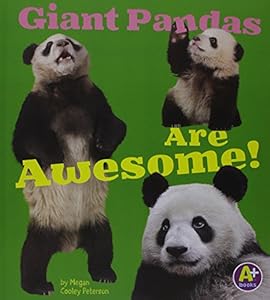 Giant Pandas Are Awesome!
