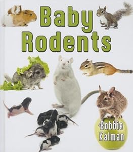 Baby Rodents by Bobbie Kalman