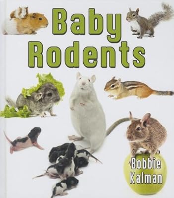 Baby Rodents