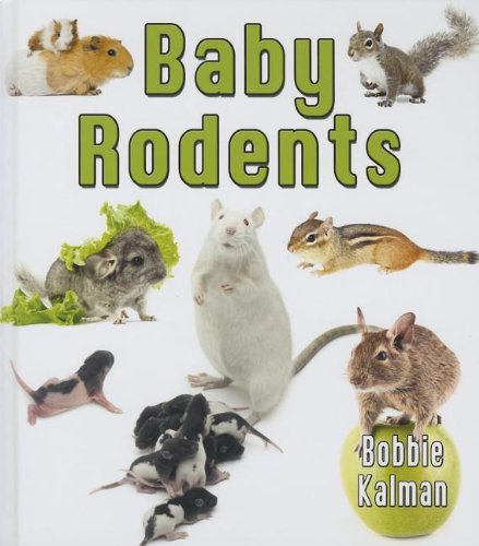 Baby Rodents by Bobbie Kalman