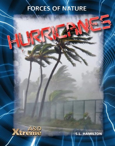 Hurricanes by S. L. Hamilton
