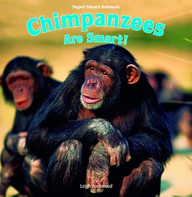Chimpanzees Are Smart!