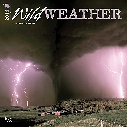 Wild Weather 2016 Wall Calendar
