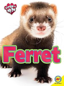 Ferret